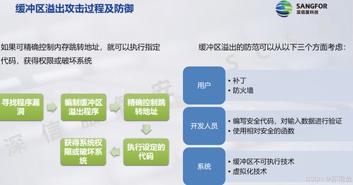 網絡安全概述 構建堅固防線，賦能信息安全軟件開發